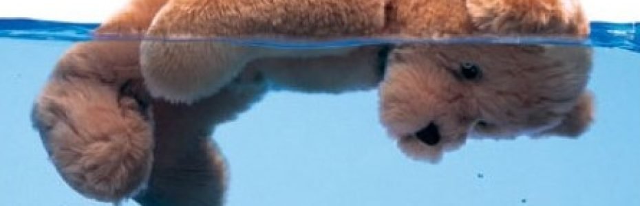 afogamento - ursinho